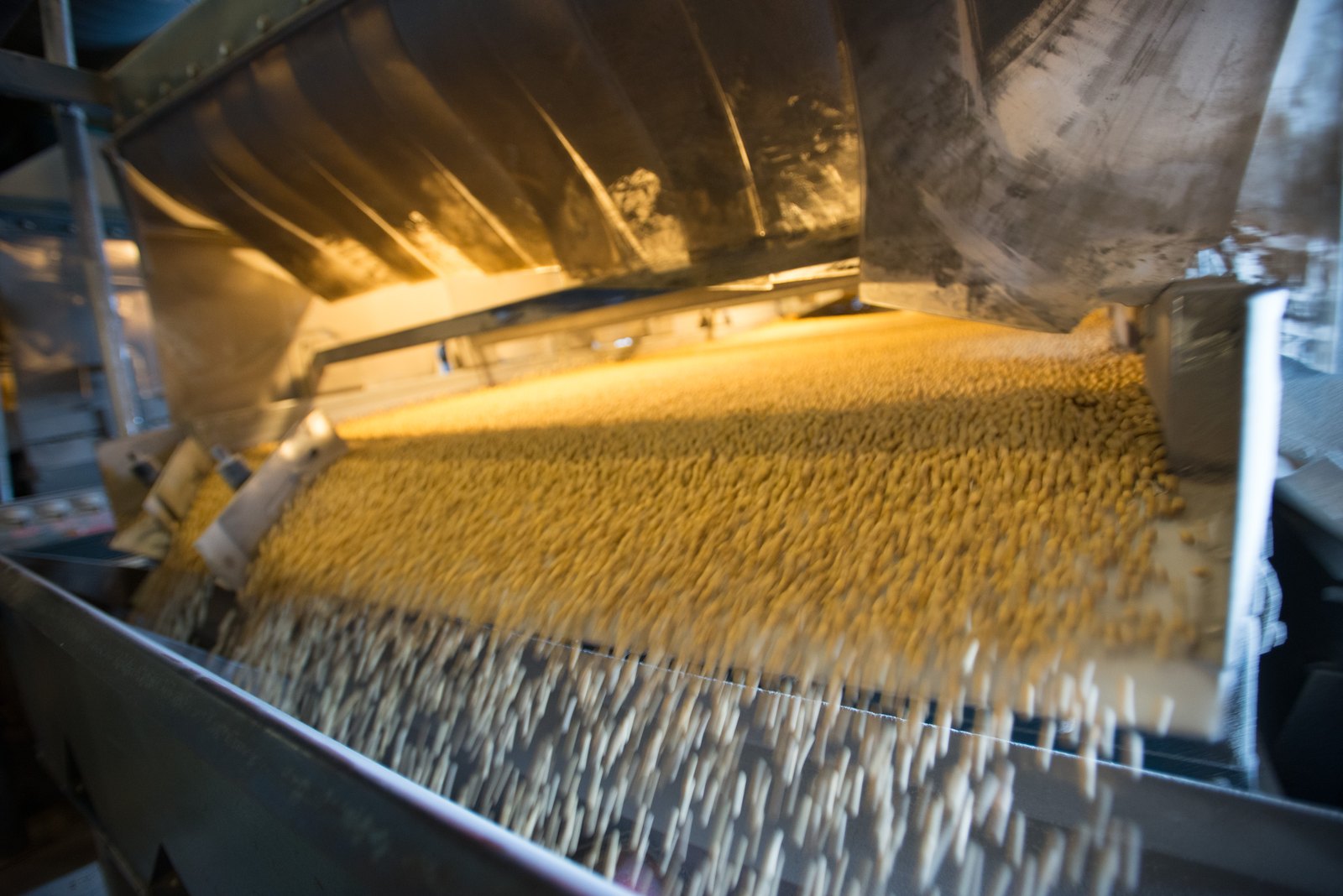 Seed conditioning and cleaning